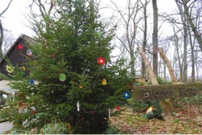 Weihnachtlicher Bierer Berg