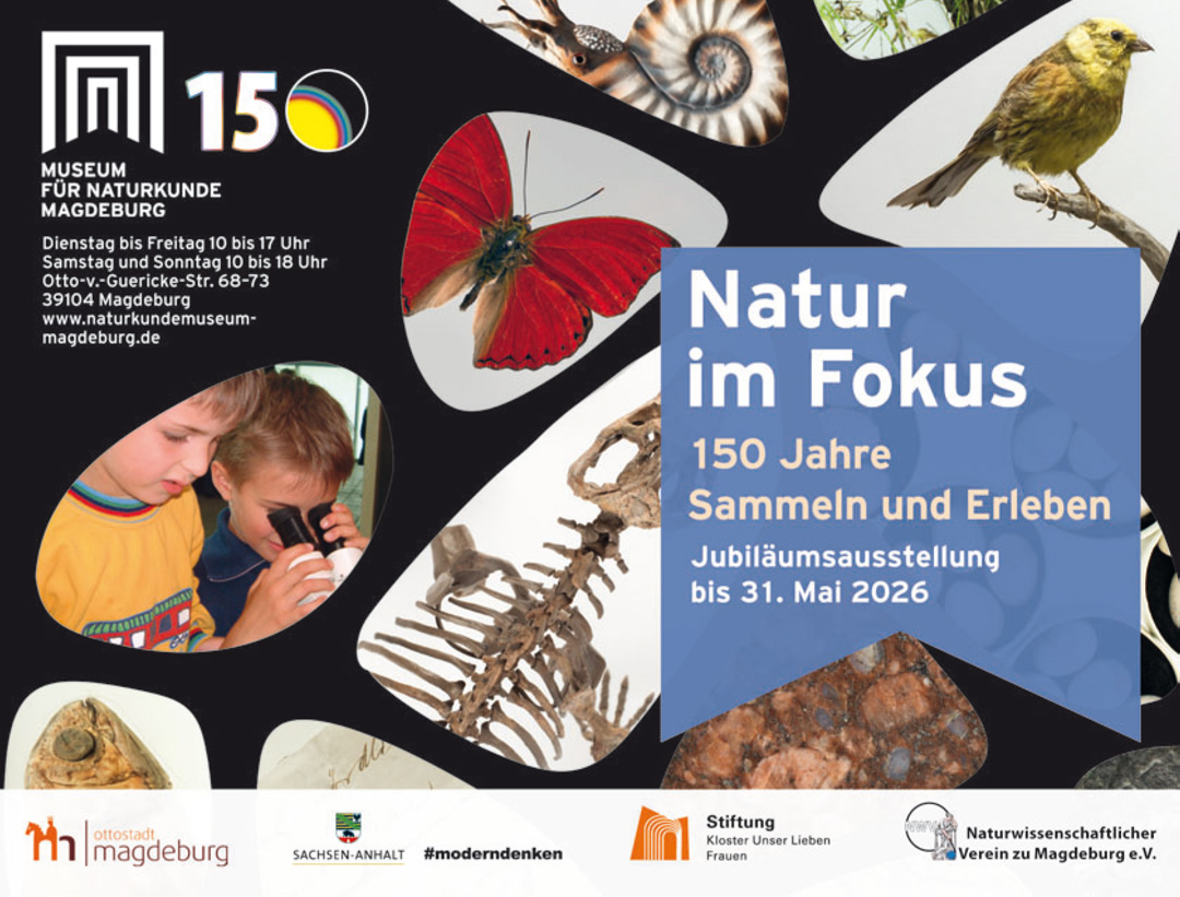 Museum fr Naturkunde Magdeburg
