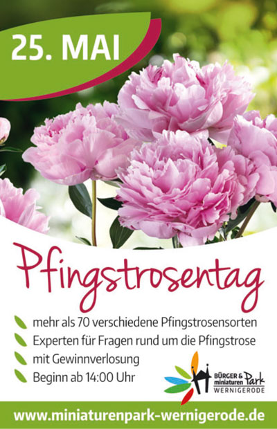 Pfingstrosentag Wernigerode