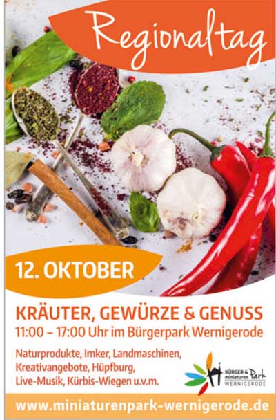 Regionaltag Wernigerode